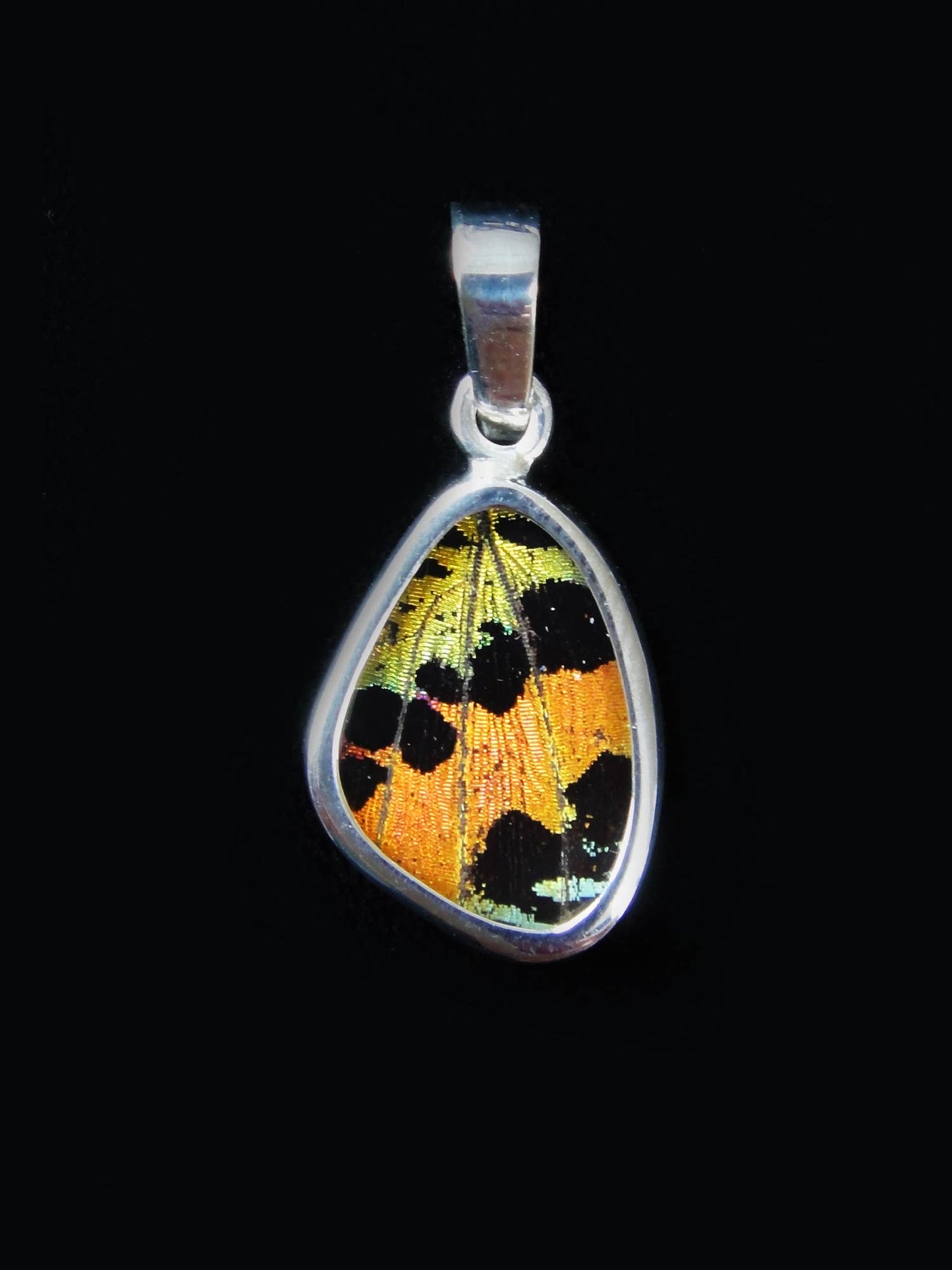 Sterling Silver "Sunset Moth" Tiny Butterfly Pendant