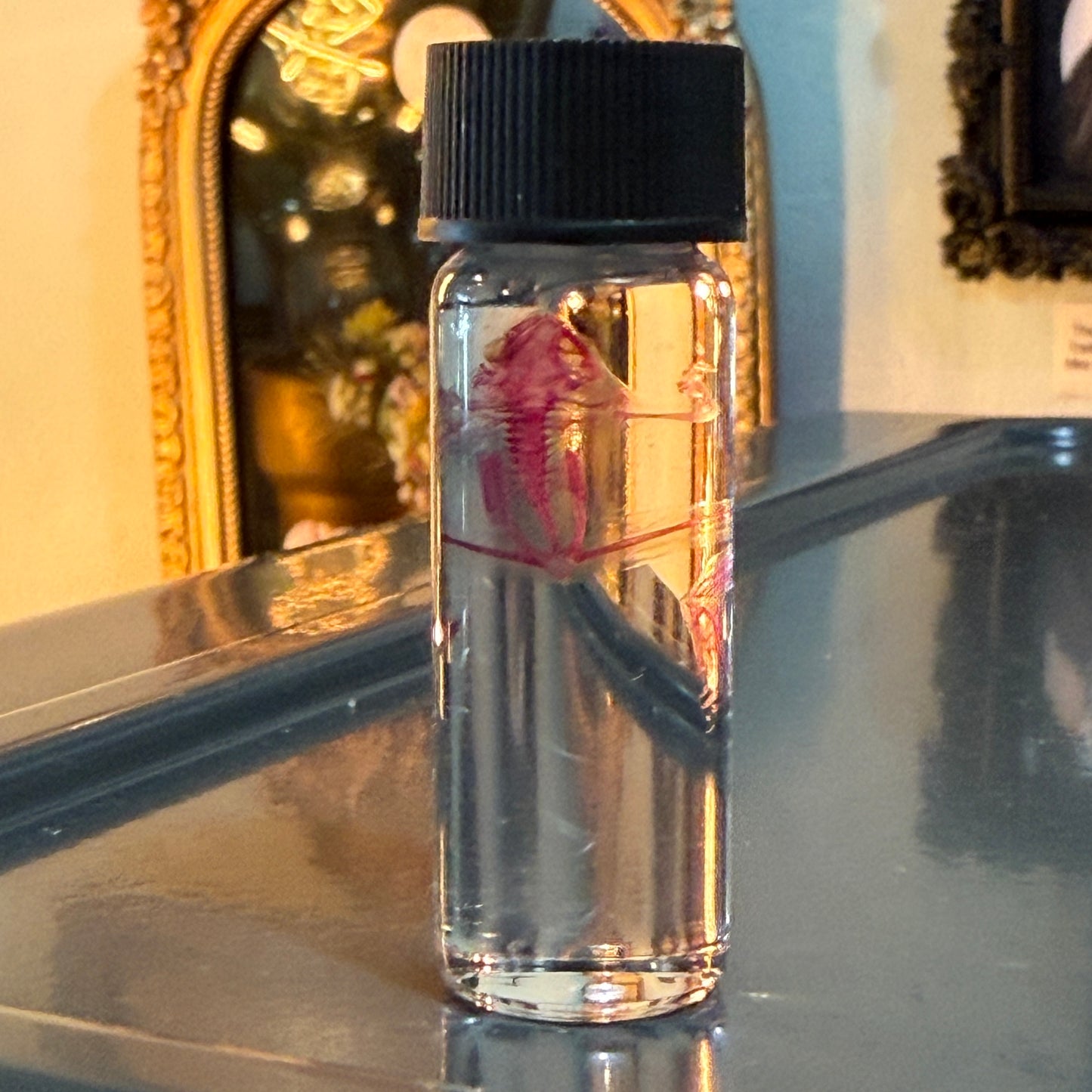 Diaphonized Tiny Frog Specimen