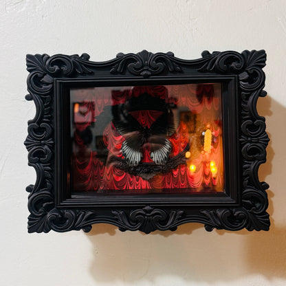 LTD Great Mormon Butterfly Shadowbox Art Red Background
