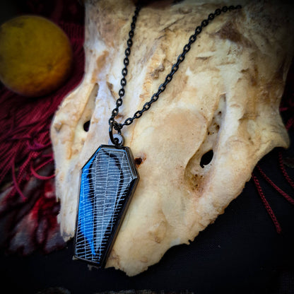 Real Spiderweb Coffin Black Necklace