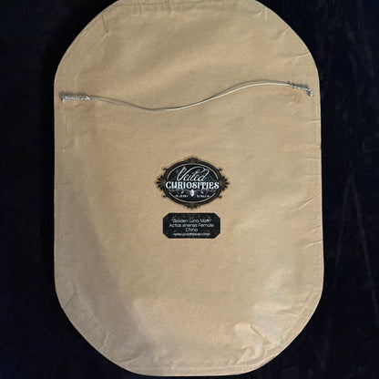 Veiled Curiosities { Adelaide } Gold Floral Frame Luna Moth
