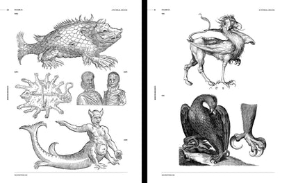 Monsters and Beasts, an Image Archive