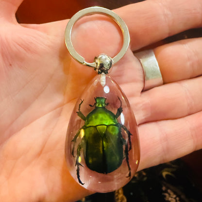 Green Beetle Drop Lucite Keychain