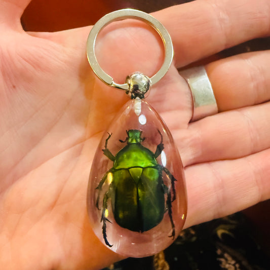 Green Beetle Drop Lucite Keychain