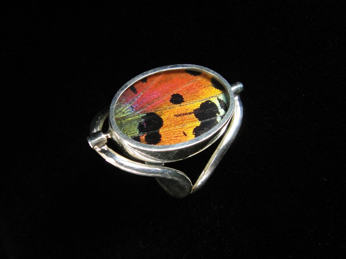 Sterling Reversible Blue Morpho/Sunset Oval Ring (adjustable)