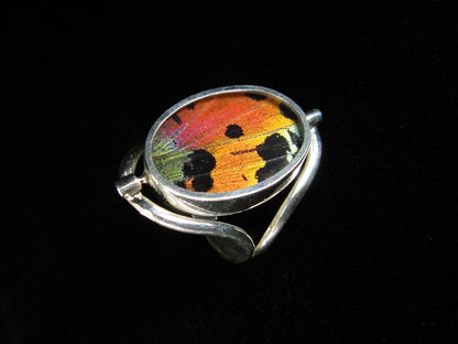 Sterling Reversible Blue Morpho/Sunset Oval Ring (adjustable)
