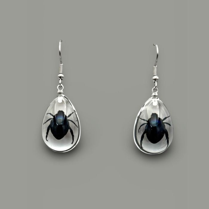 Shining Leaf Beetle Lucite Earrings