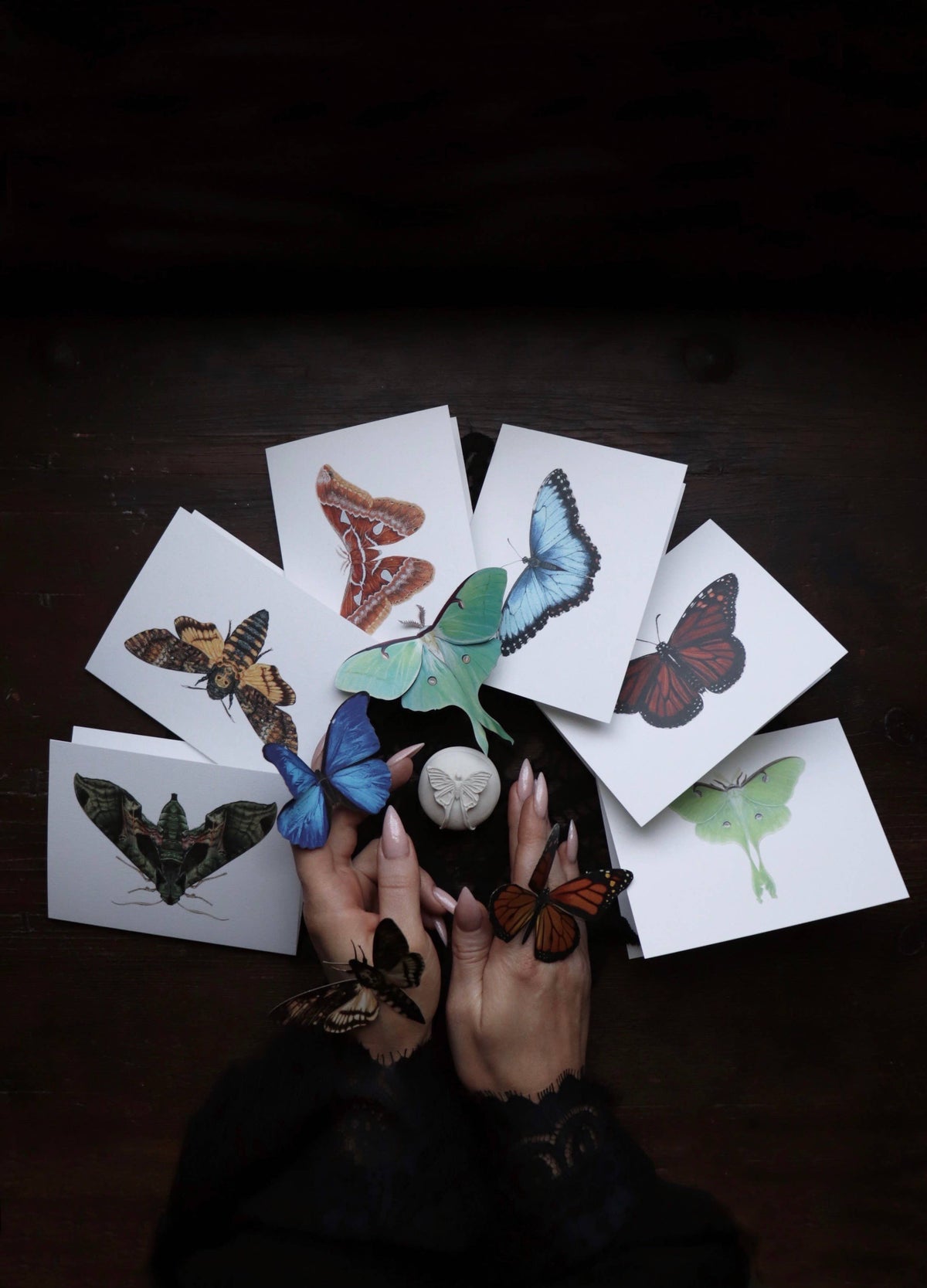 Orizaba Silkmoth Greeting Card