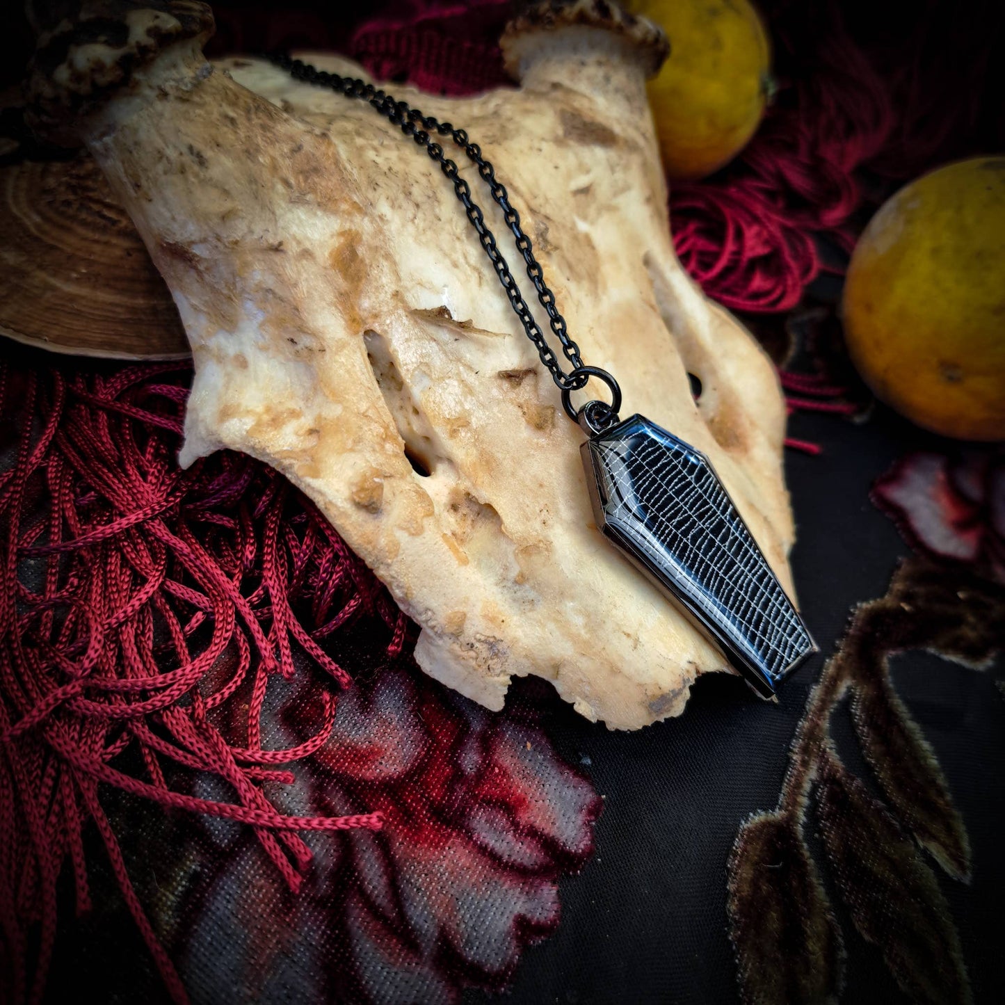 Real Spiderweb Coffin Black Necklace