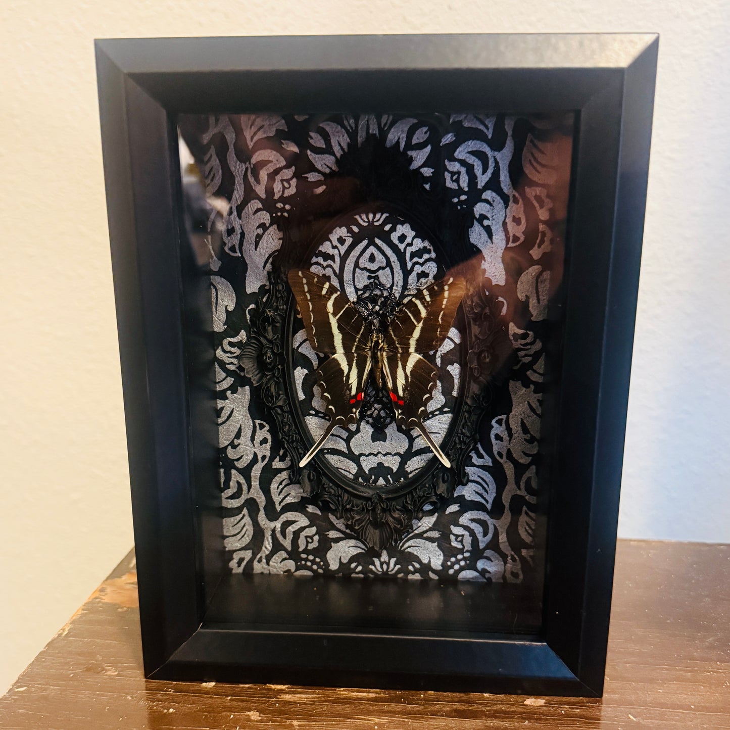 LTD Dark Zebra Swallowtail Shadowbox Art Silver Damask Background