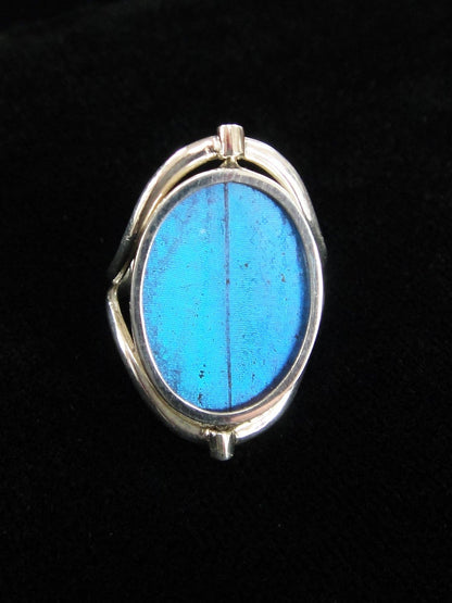 Sterling Reversible Blue Morpho/Sunset Oval Ring (adjustable)