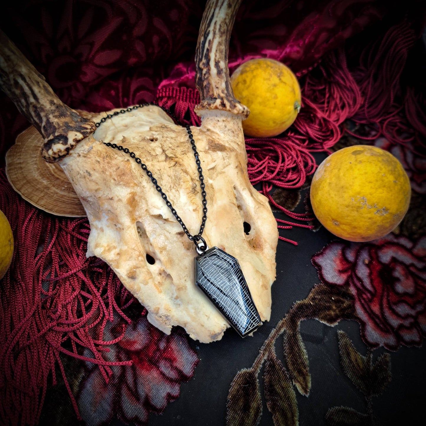 Real Spiderweb Coffin Black Necklace