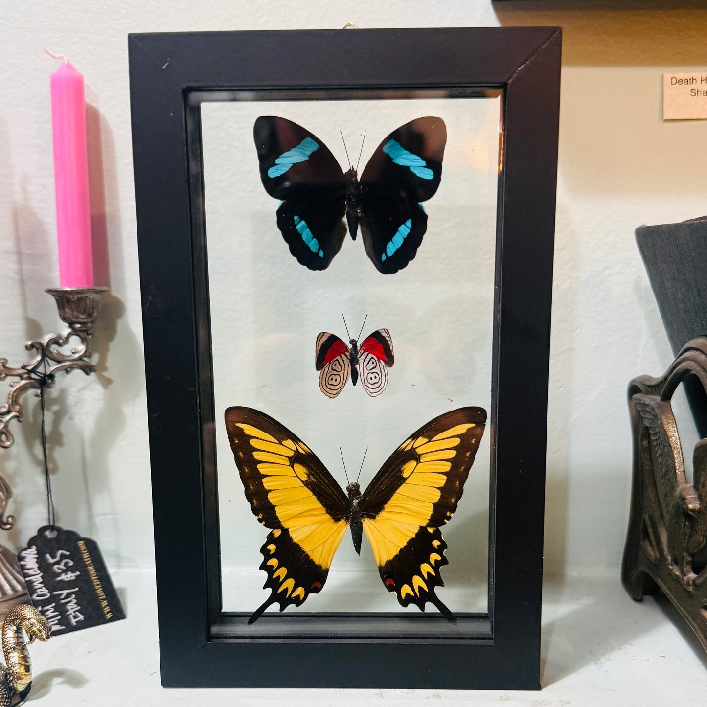 3 Butterfies In Double Glass Frame Black