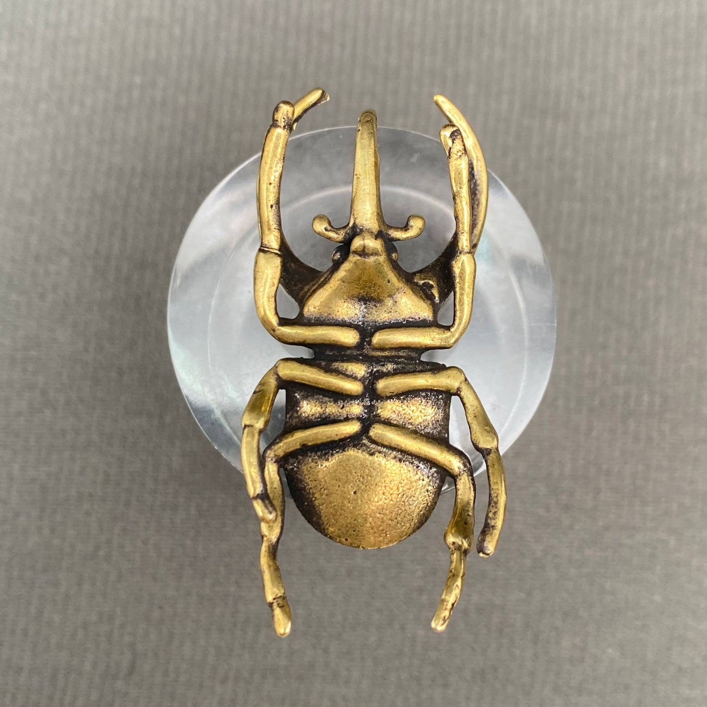 Brass Rhinoceros Beetle Figurine