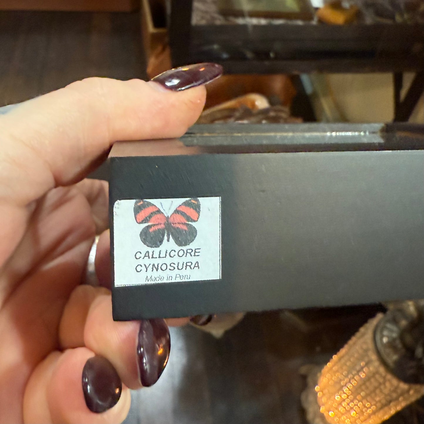 Framed Single Butterfly Callicore Cynosural