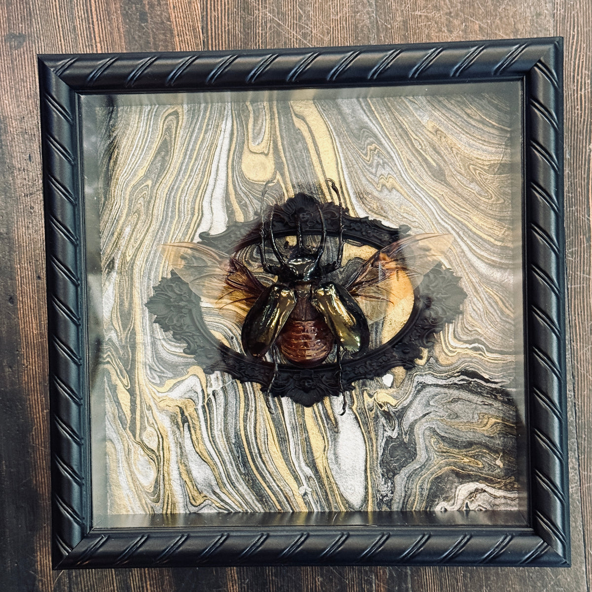 LTD Rhinoceros Beetle Wings Spread Shadowbox Art Gold, Silver Black Background