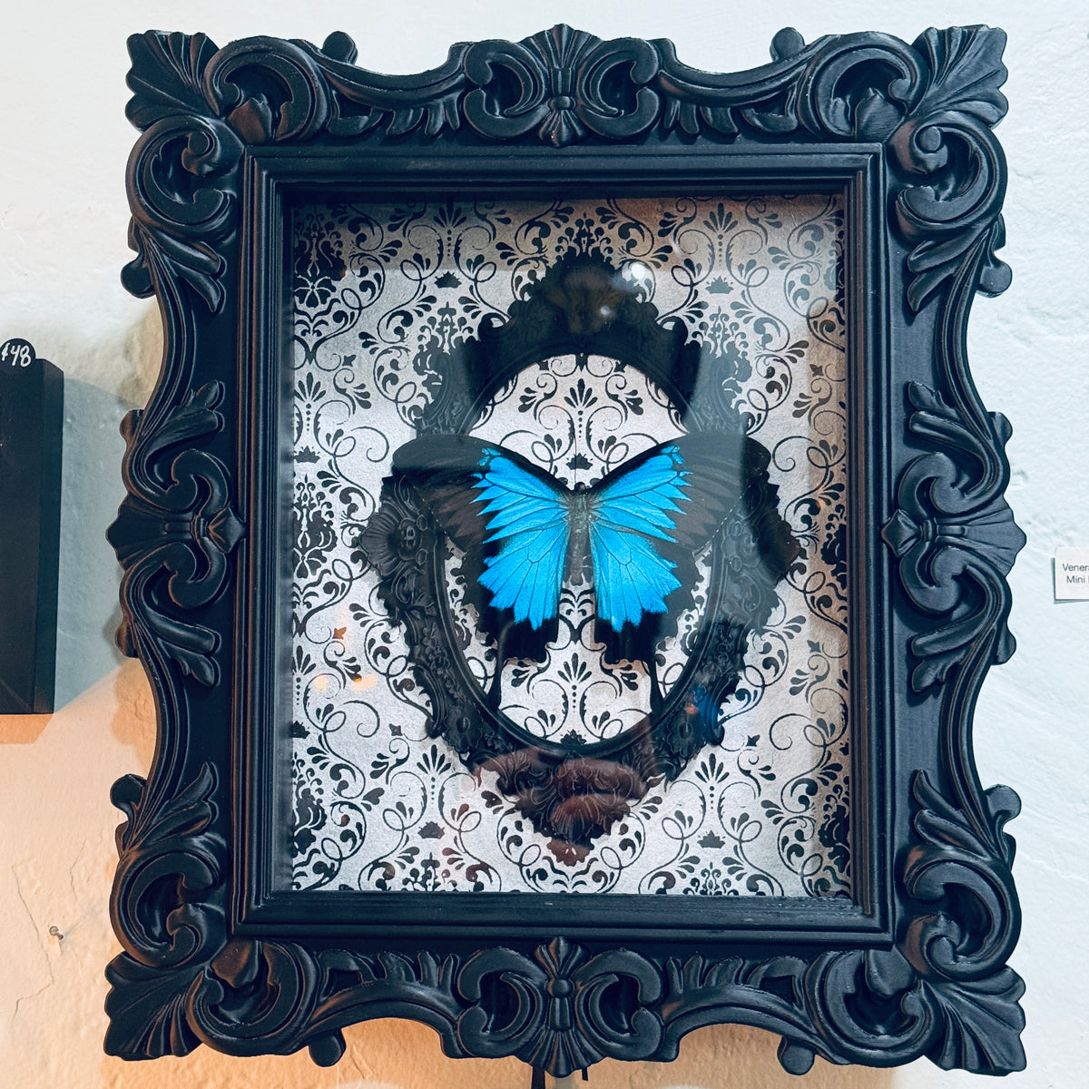 Blue Mountain Swallowtail Butterfly  Shadowbox Art  Silver Victorian Background