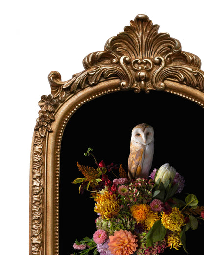 Phantasm - Baroque Inspired Frame Print