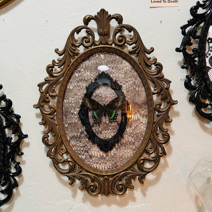 LTD Antique Brass Filigree Framed Black Alpine Swallowtail Butterfly on Gray Swirl Victorian  Background