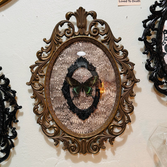 LTD Antique Brass Filigree Framed Black Alpine Swallowtail Butterfly on Gray Swirl Victorian  Background