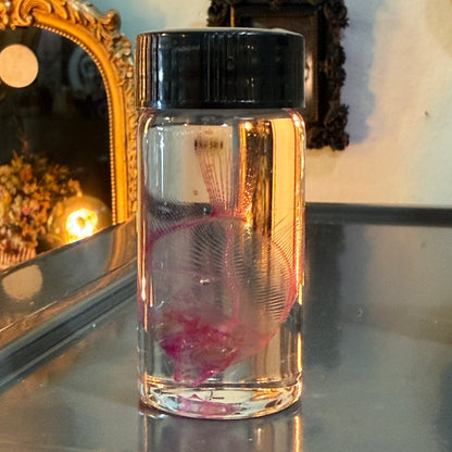 Diaphonized Angel Fish Specimen
