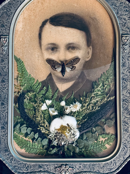Veiled Curiosities { Dorian } Cicada Marbled Convex Glass Frame