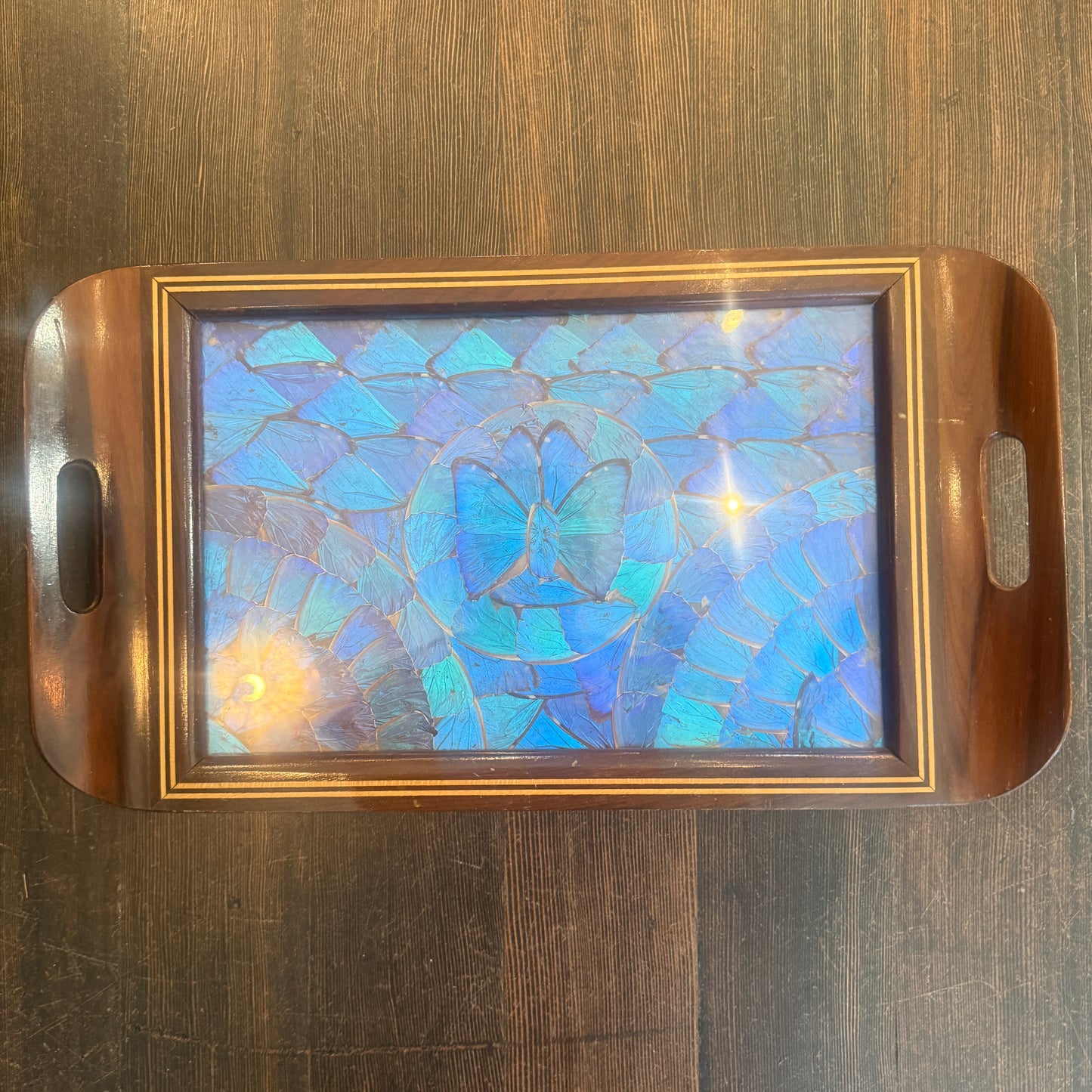 Antique Blue Morpho Butterfly Wing Art Tray Wood