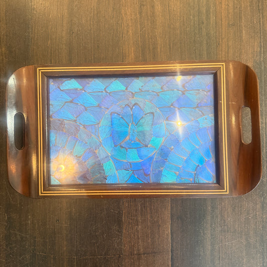 Antique Blue Morpho Butterfly Wing Art Tray Wood