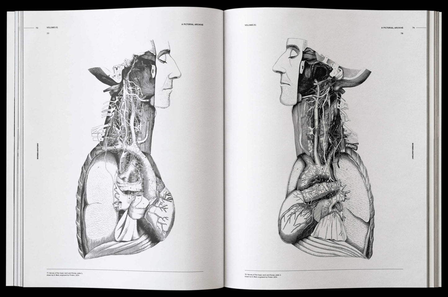 Morbid Anatomy, an Image Archive for Artists and Designers