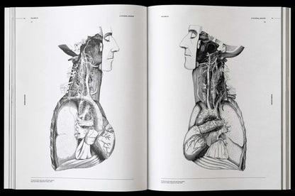 Morbid Anatomy, an Image Archive for Artists and Designers