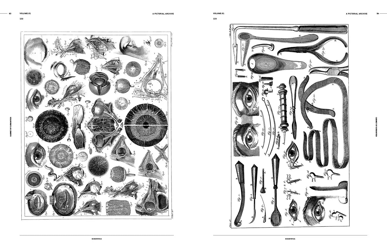 Cabinet of Curiosities: An Image Archive