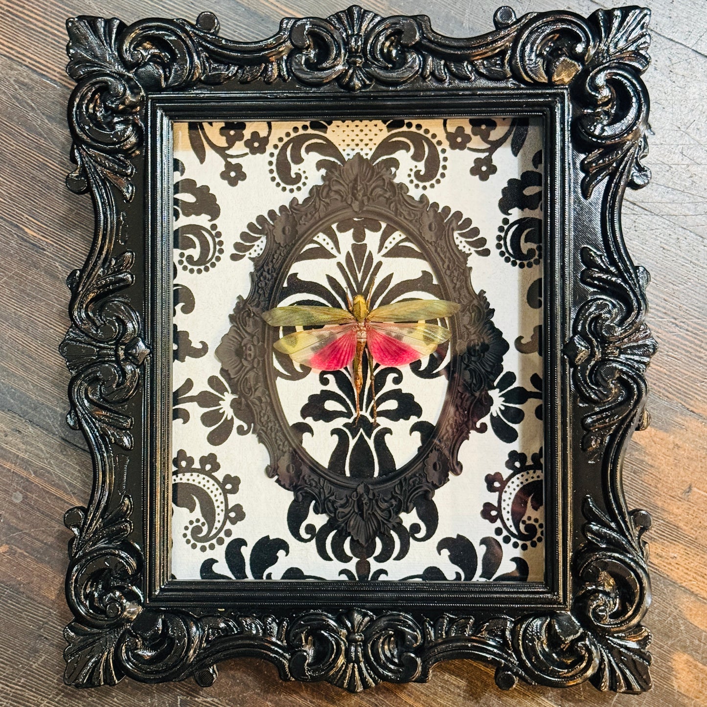 LTD Pink & Green Grasshopper Black & White Flocked Damask Black Frame