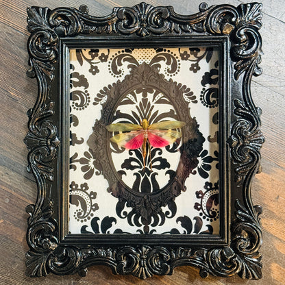 LTD Pink & Green Grasshopper Black & White Flocked Damask Black Frame