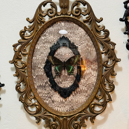 LTD Antique Brass Filigree Framed Black Alpine Swallowtail Butterfly on Gray Swirl Victorian  Background