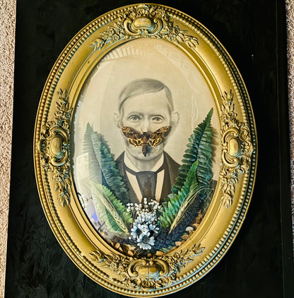 Veiled Curiosities { Sigfried } Death Head Hawkmoth Victorian Gold Frame