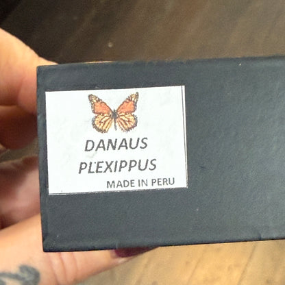 Framed Single Butterfly Specimen Monarch Danaus Plexippus