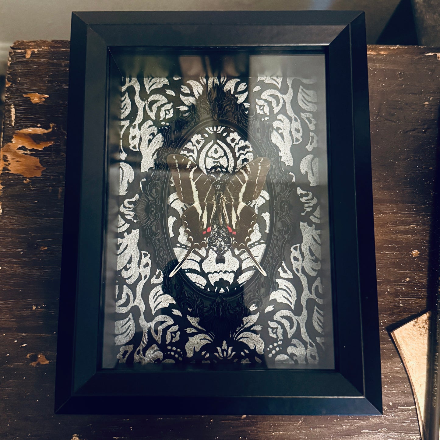 LTD Dark Zebra Swallowtail Shadowbox Art Silver Damask Background