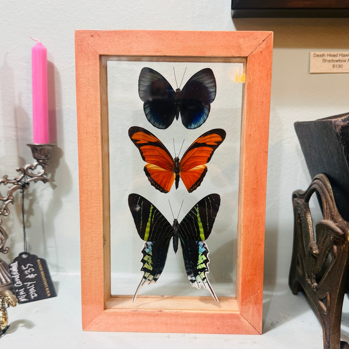 3 Butterfies In Double Glass Frame Natural