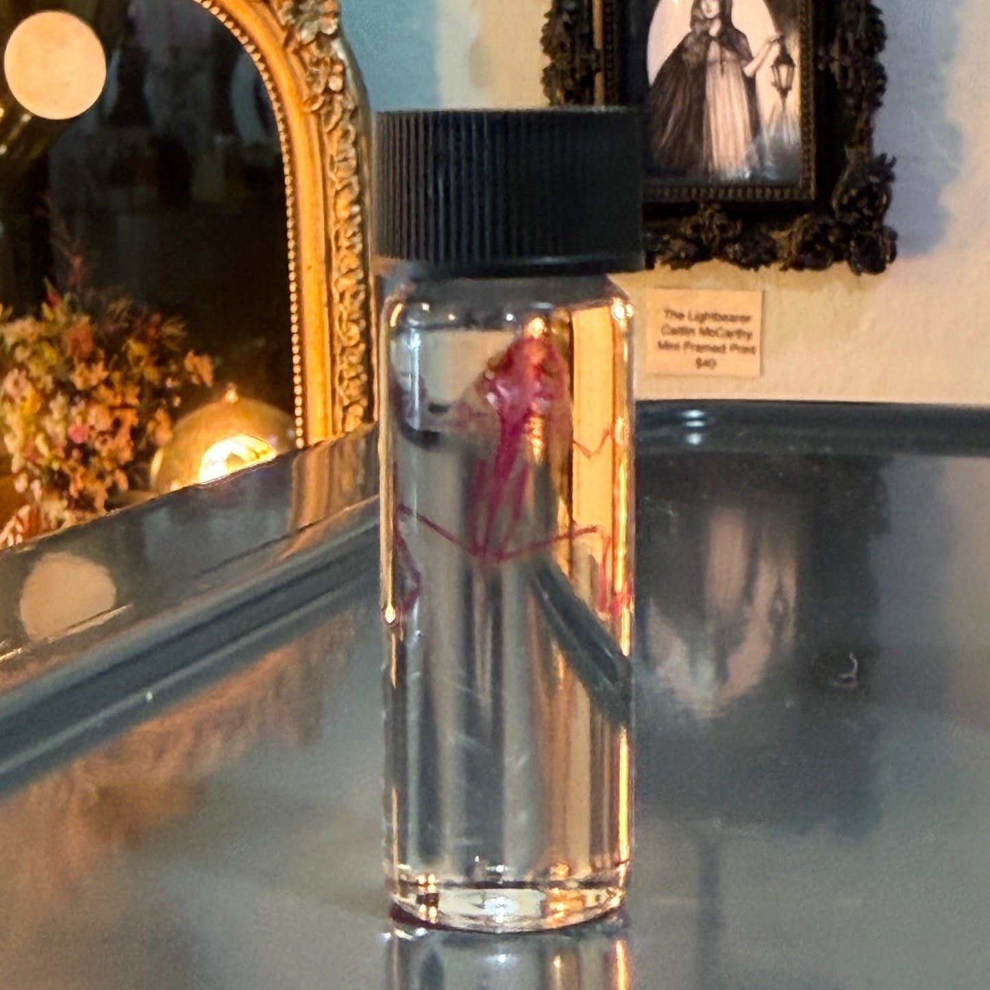 Diaphonized Tiny Frog Specimen