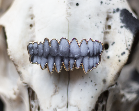 Gold Teeth Pin