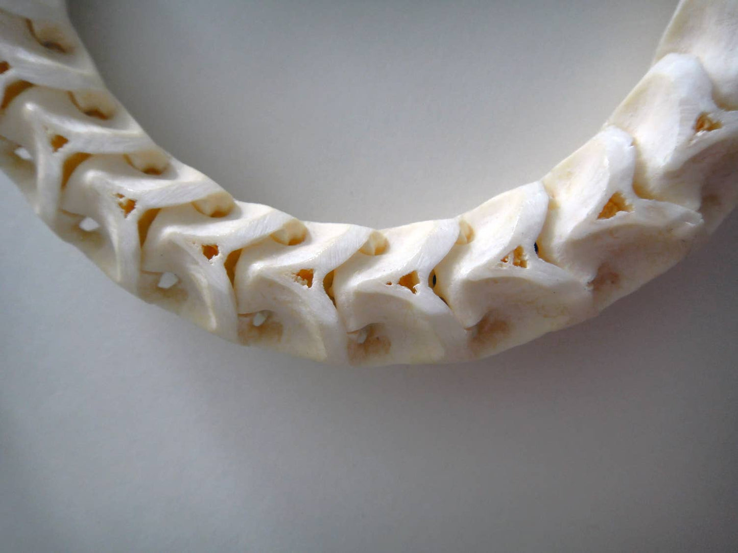 Snake Vertebrae Bracelet
