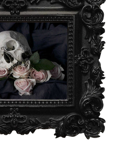 Ācēocian - Mini Frame Print