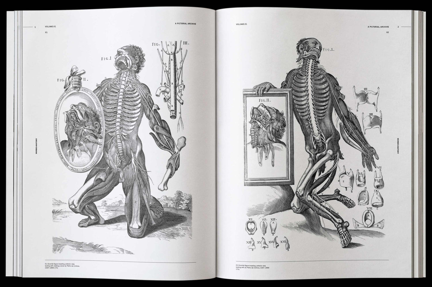 Morbid Anatomy, an Image Archive for Artists and Designers