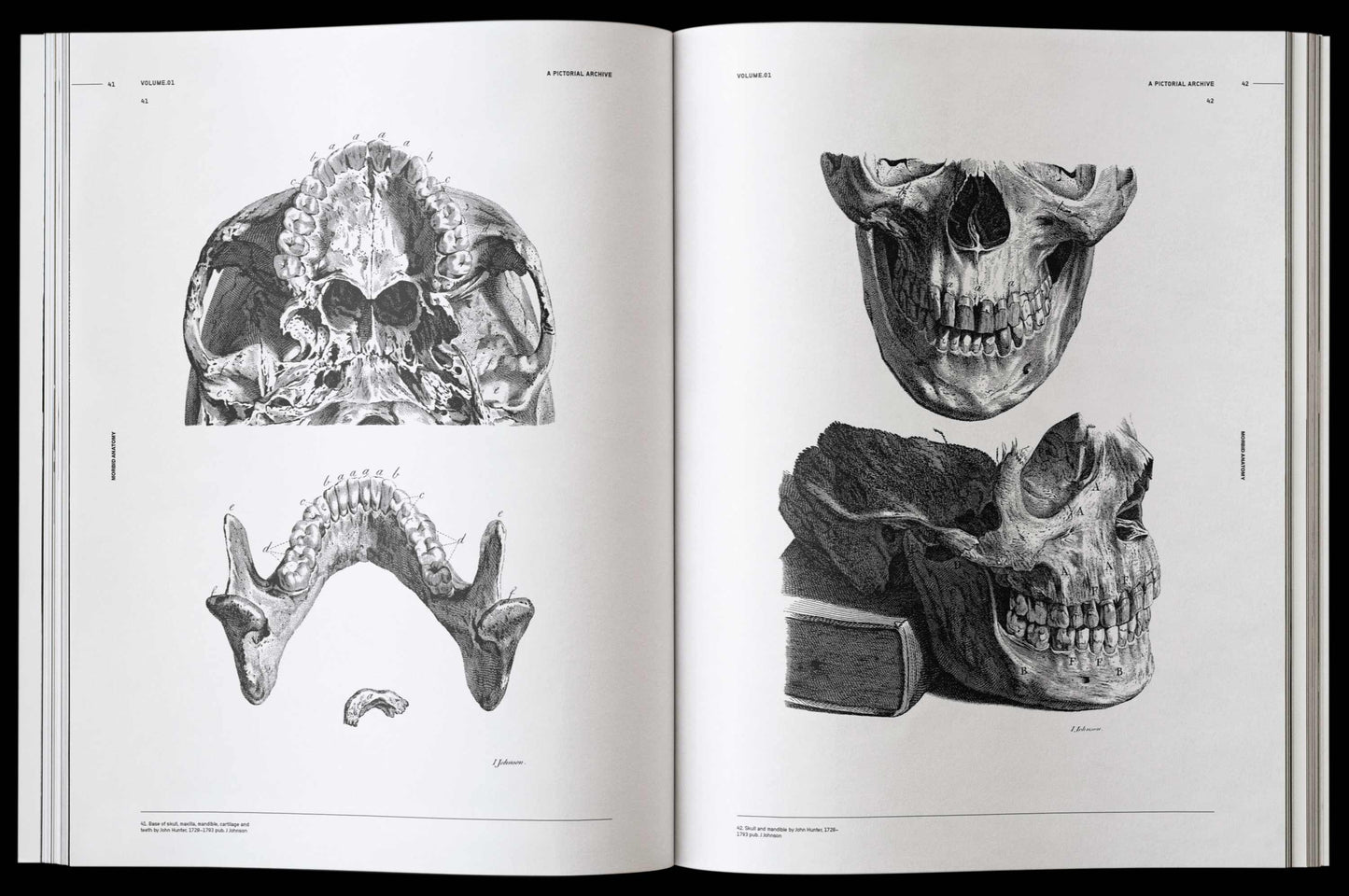 Morbid Anatomy, an Image Archive for Artists and Designers