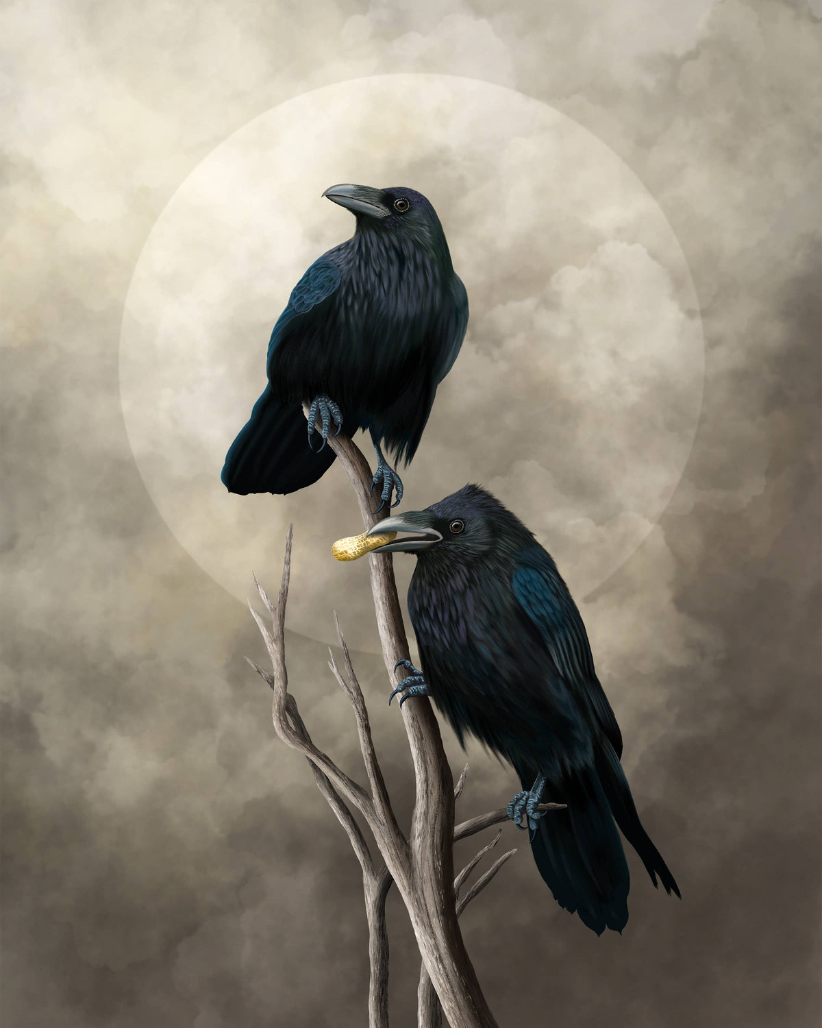 BirdHag Common Raven Couple Fine Art Print
