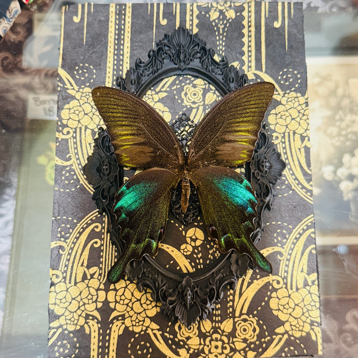 LTD Peacock Swallowtail Butterfly Shadowbox Art Gold Deco Background