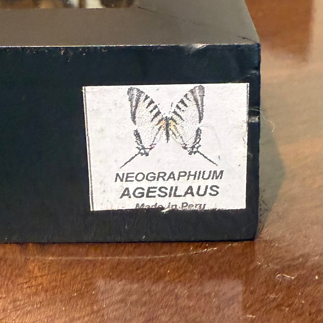 Framed Single Butterfly Neographium Agesilaus