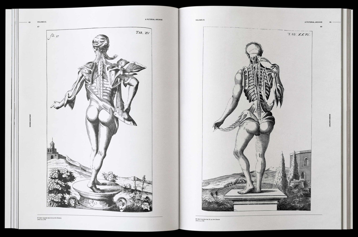 Morbid Anatomy, an Image Archive for Artists and Designers