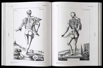 Morbid Anatomy, an Image Archive for Artists and Designers