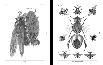 Insects Reference Book, an Image Archive